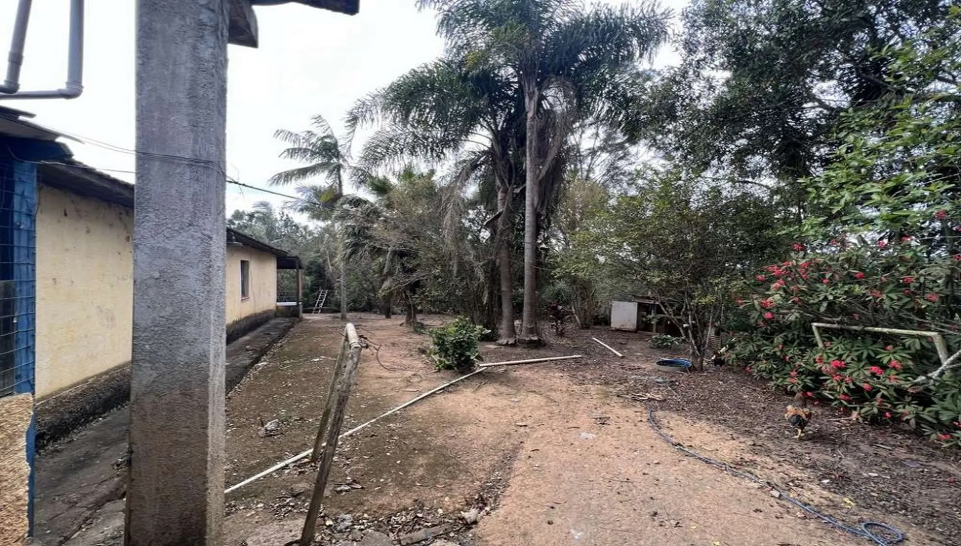 Imagem 11 da Área em Cotia SP