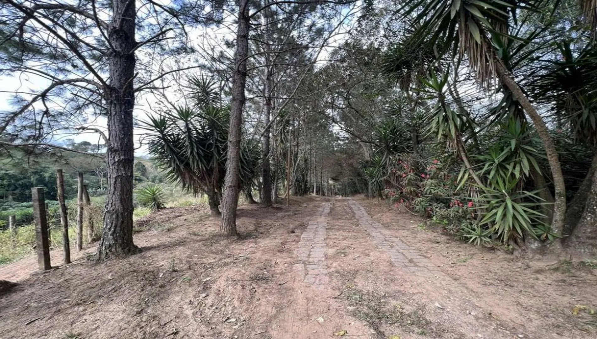Imagem 14 da Área em Cotia SP