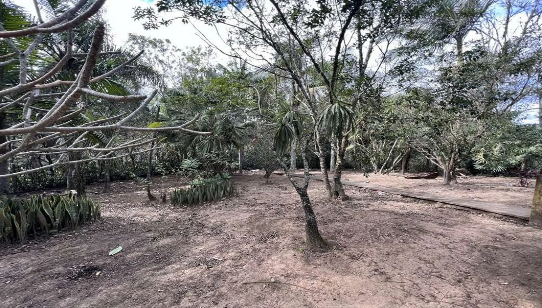 Imagem 21 da Área em Cotia SP