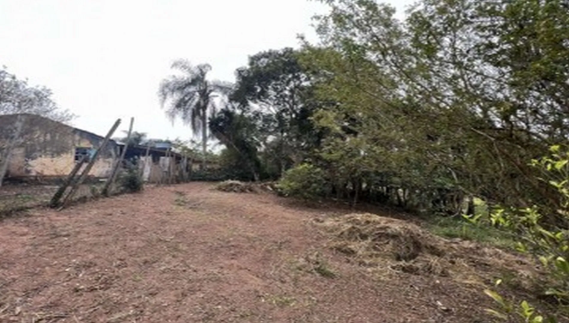 Imagem 30 da Área em Cotia SP