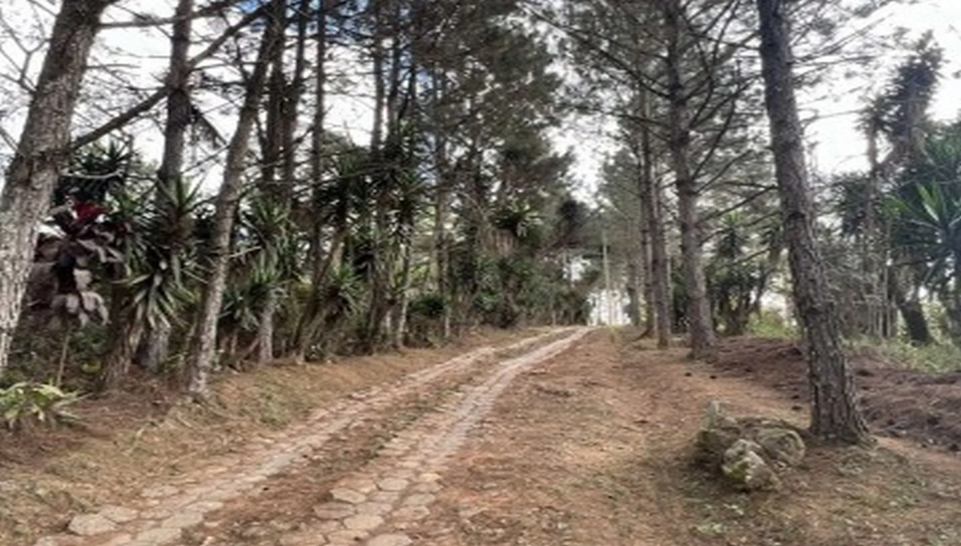 Imagem 31 da Área em Cotia SP