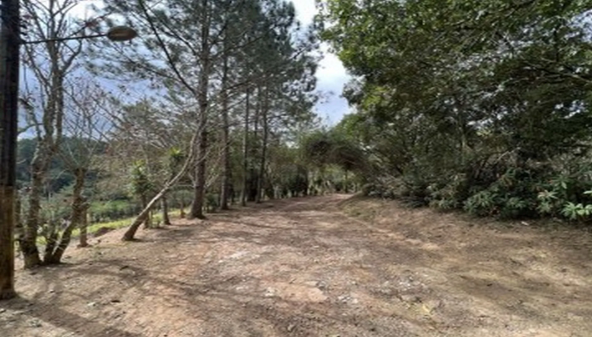 Imagem 34 da Área em Cotia SP