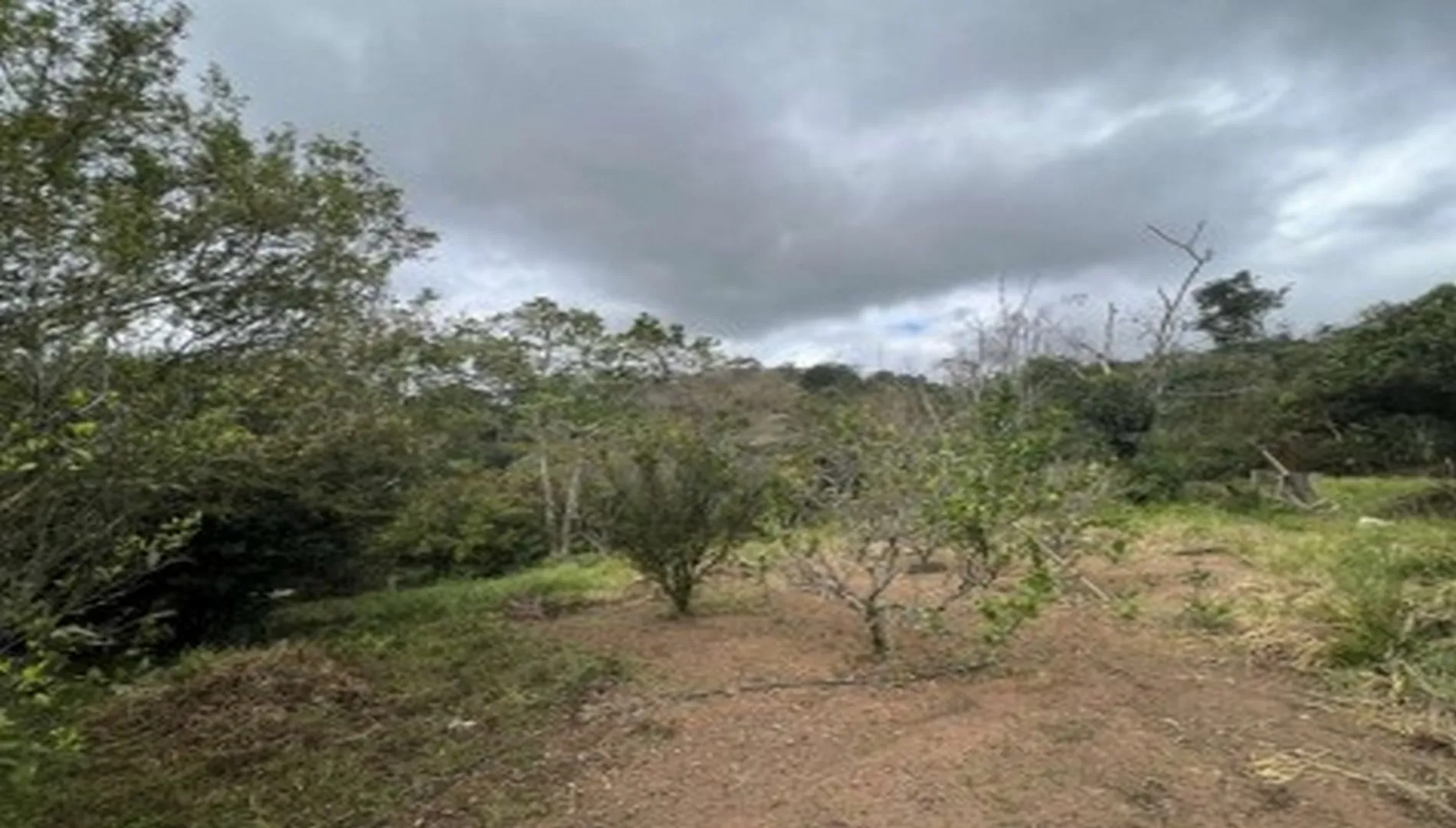 Imagem 35 da Área em Cotia SP