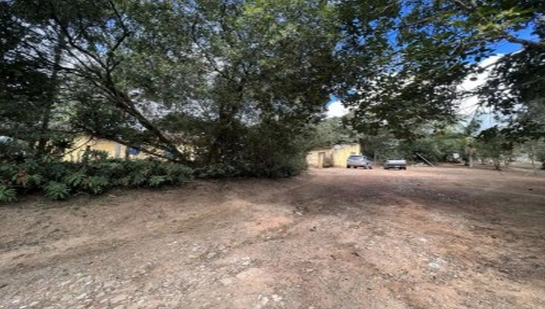 Imagem 41 da Área em Cotia SP