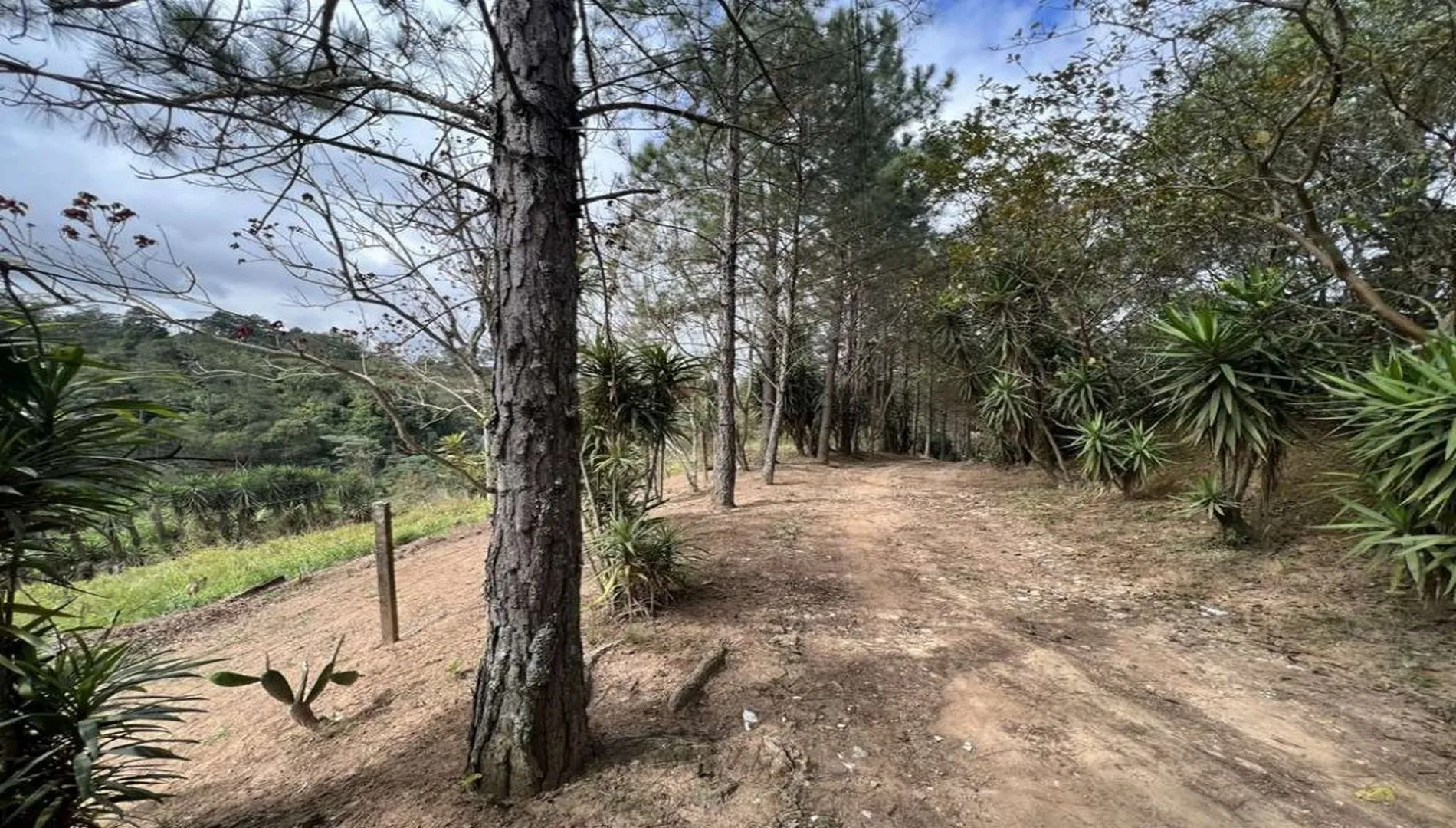 Imagem 7 da Área em Cotia SP