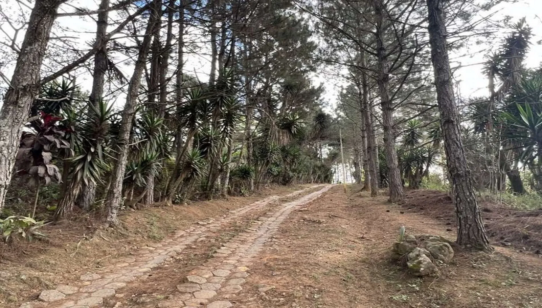 Imagem 9 da Área em Cotia SP
