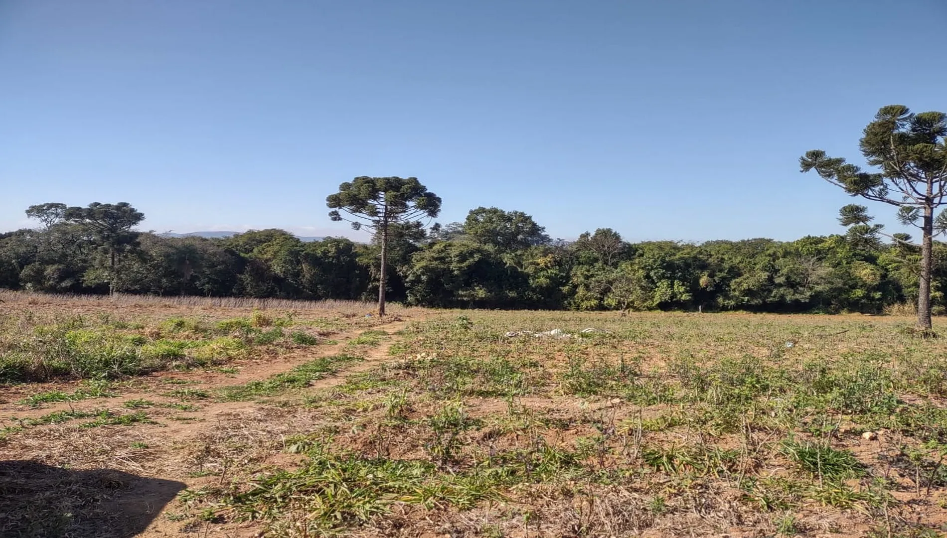 Área Industrial em Itupeva SP - 29.000 m² com frente para Avenida Prefeito José Carlos