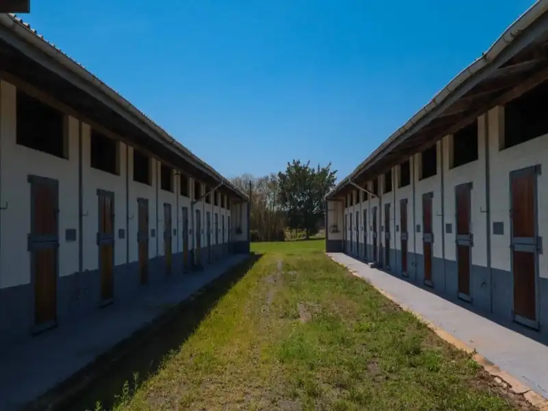 Imagem 26 do Centro Equestre