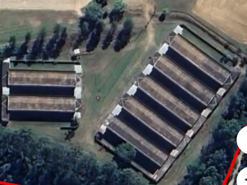 Imagem 29 do Centro Equestre