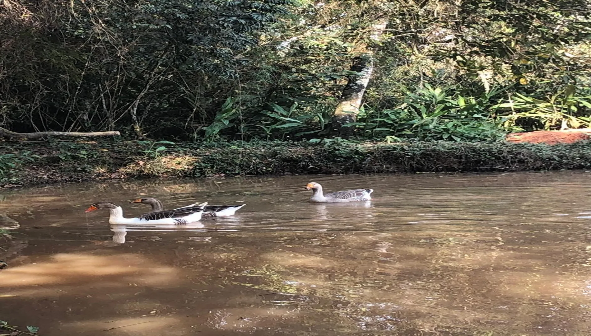 Imagem 16 da Chácara Cabreúva SP