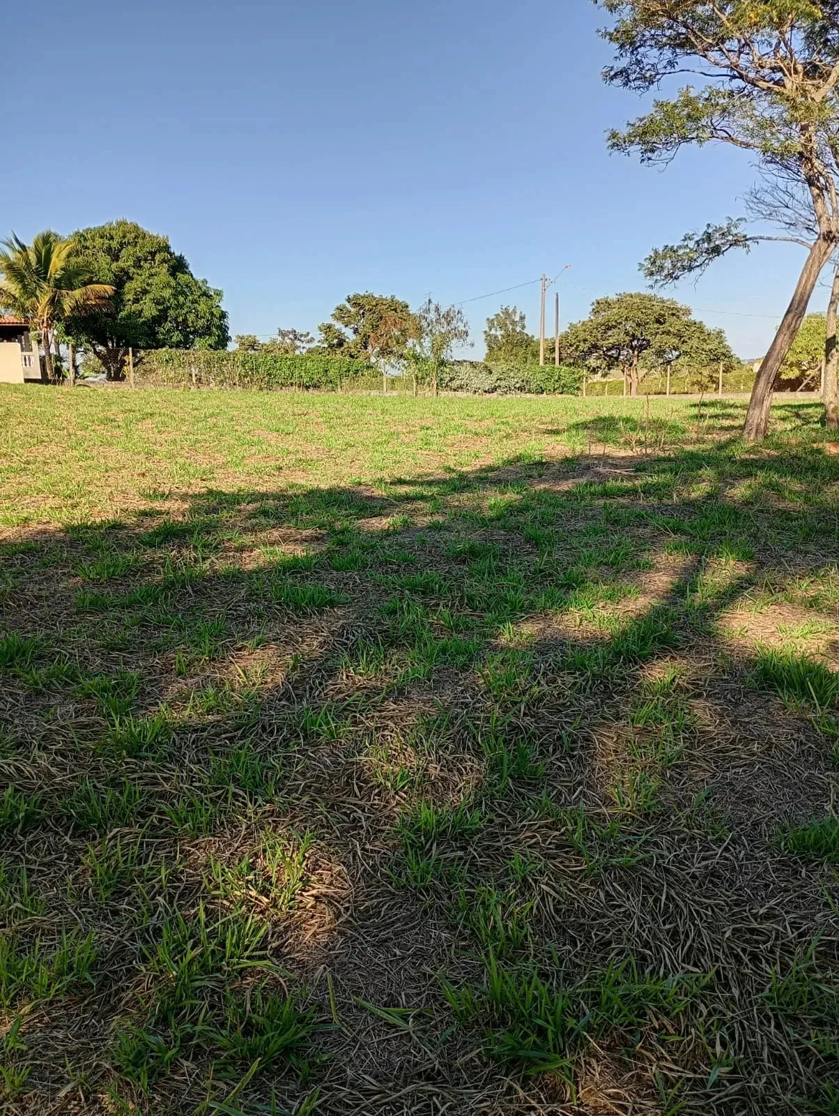 Imagem da Chácara 2000m²