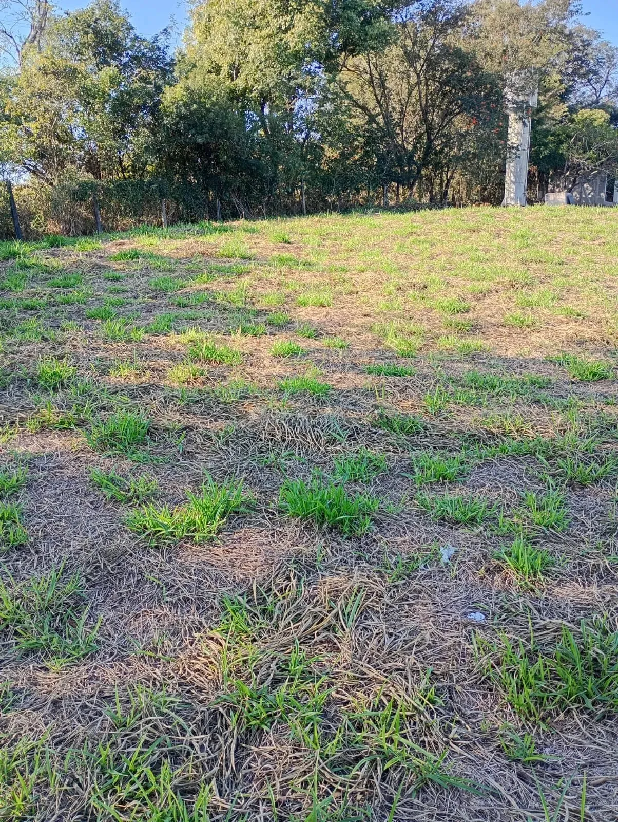 Chácara em Porto Feliz - 2.000 m²