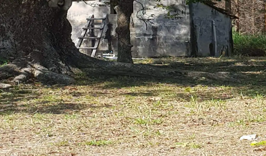 Imagem 27 do Empreendimento Rural em Itu