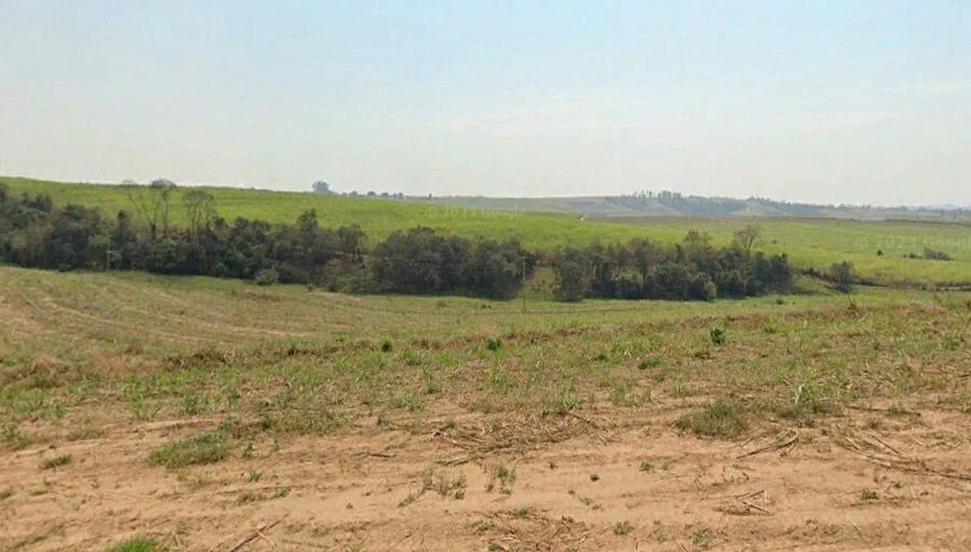Fazenda em Porto Feliz à venda - Cana-de-açúcar