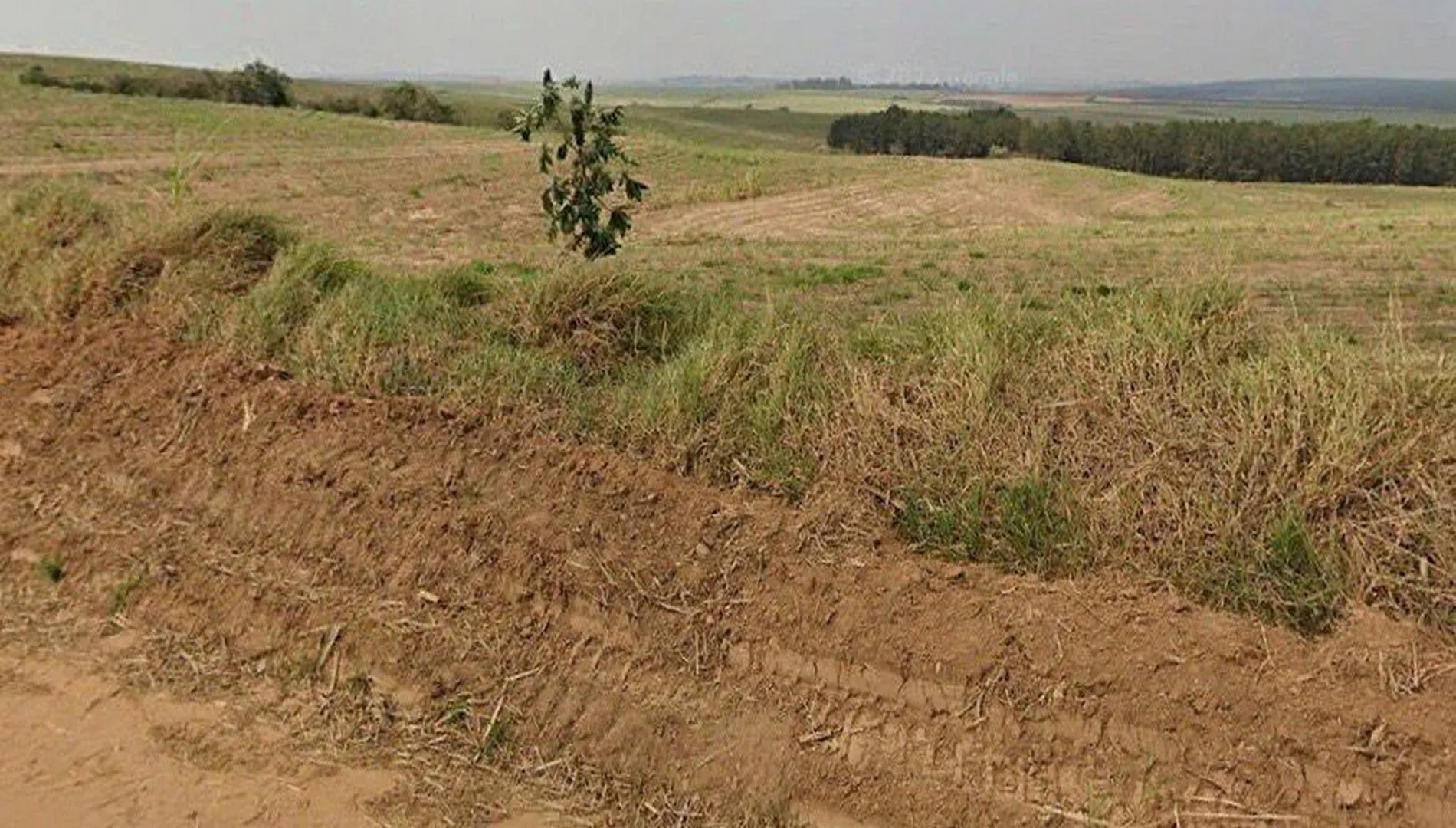 Imagem 10 da Fazenda Cana Porto Feliz