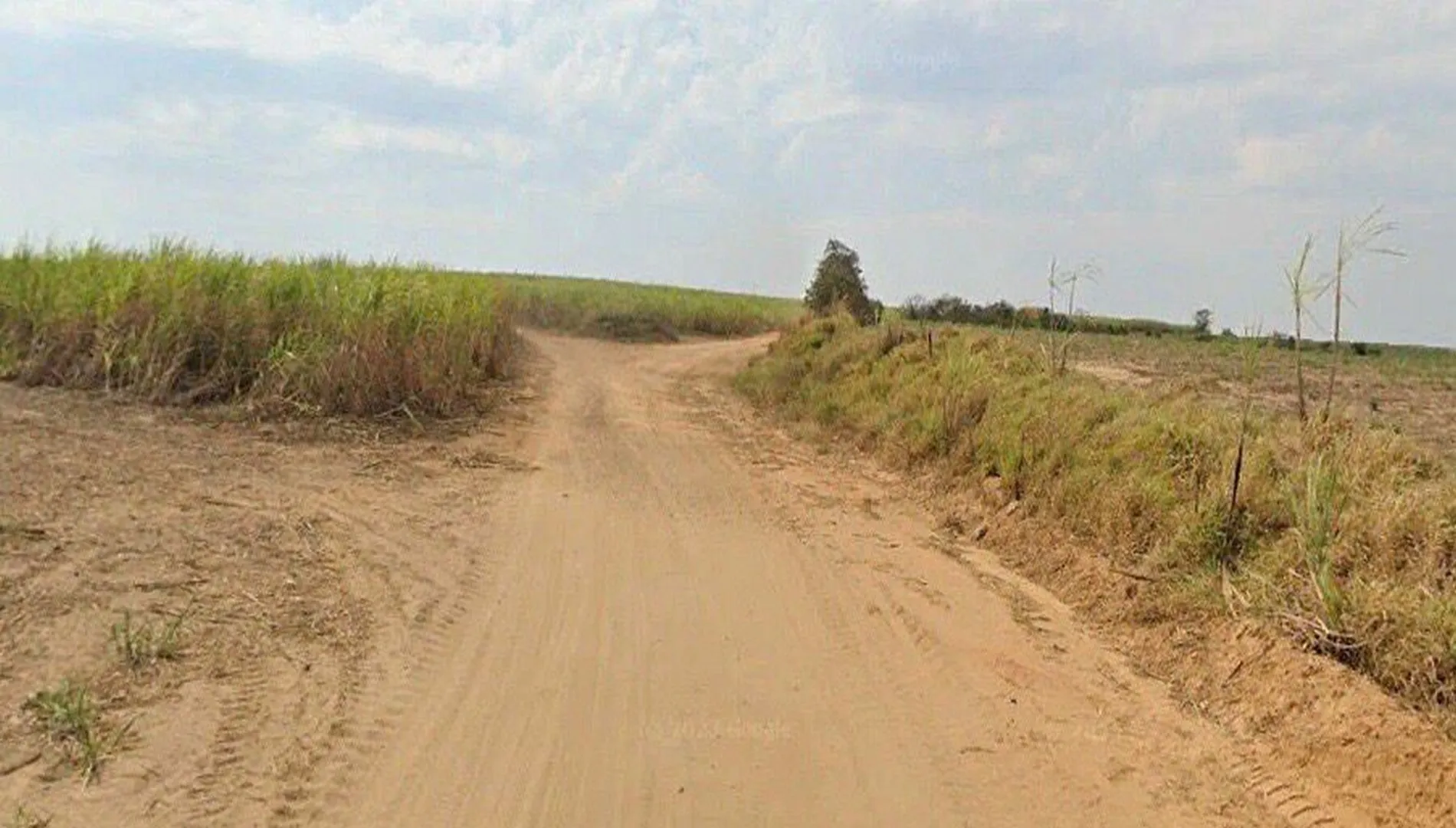 Imagem 11 da Fazenda Cana Porto Feliz