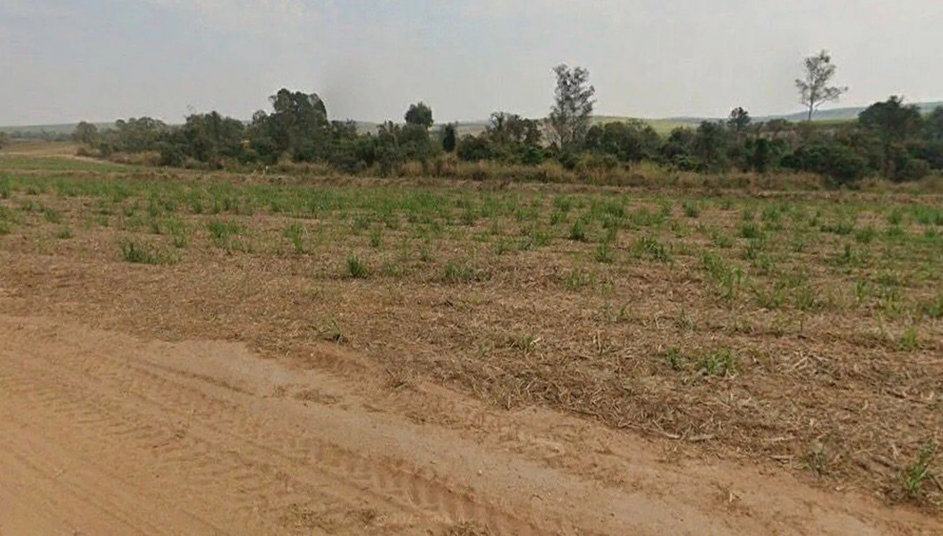 Imagem 12 da Fazenda Cana Porto Feliz