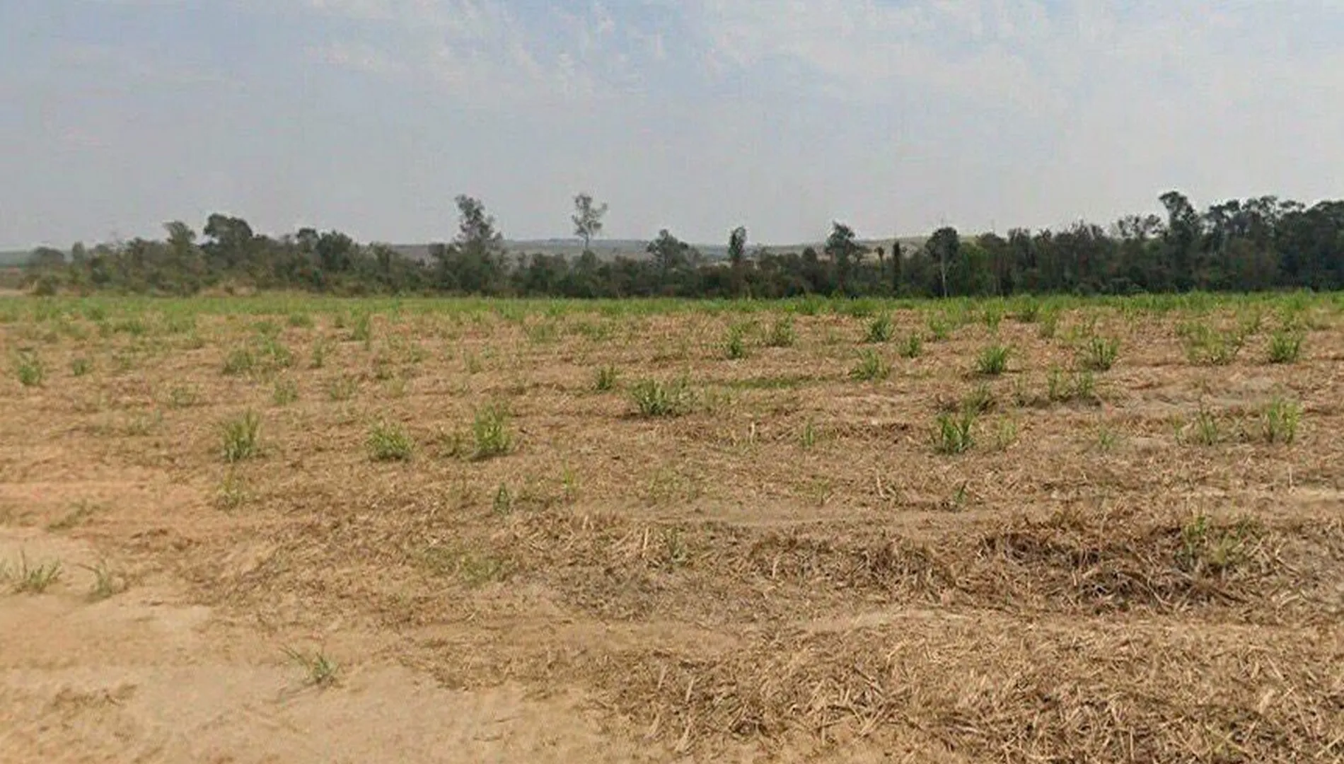 Imagem 13 da Fazenda Cana Porto Feliz