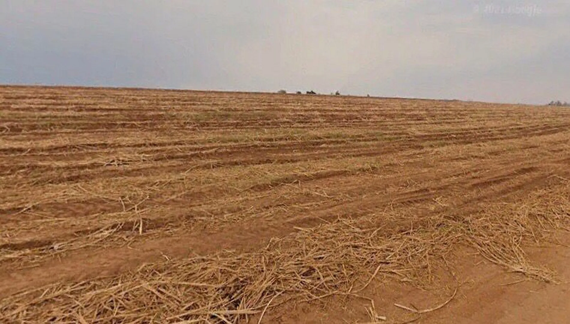 Imagem 15 da Fazenda Cana Porto Feliz