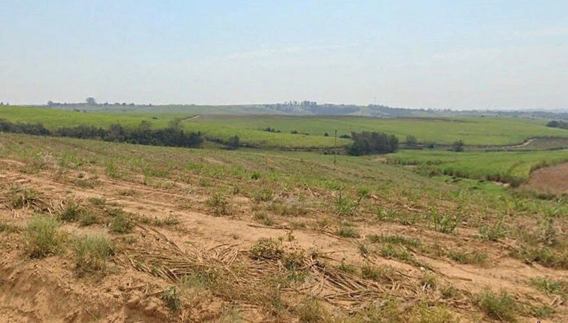 Imagem 2 da Fazenda Cana Porto Feliz