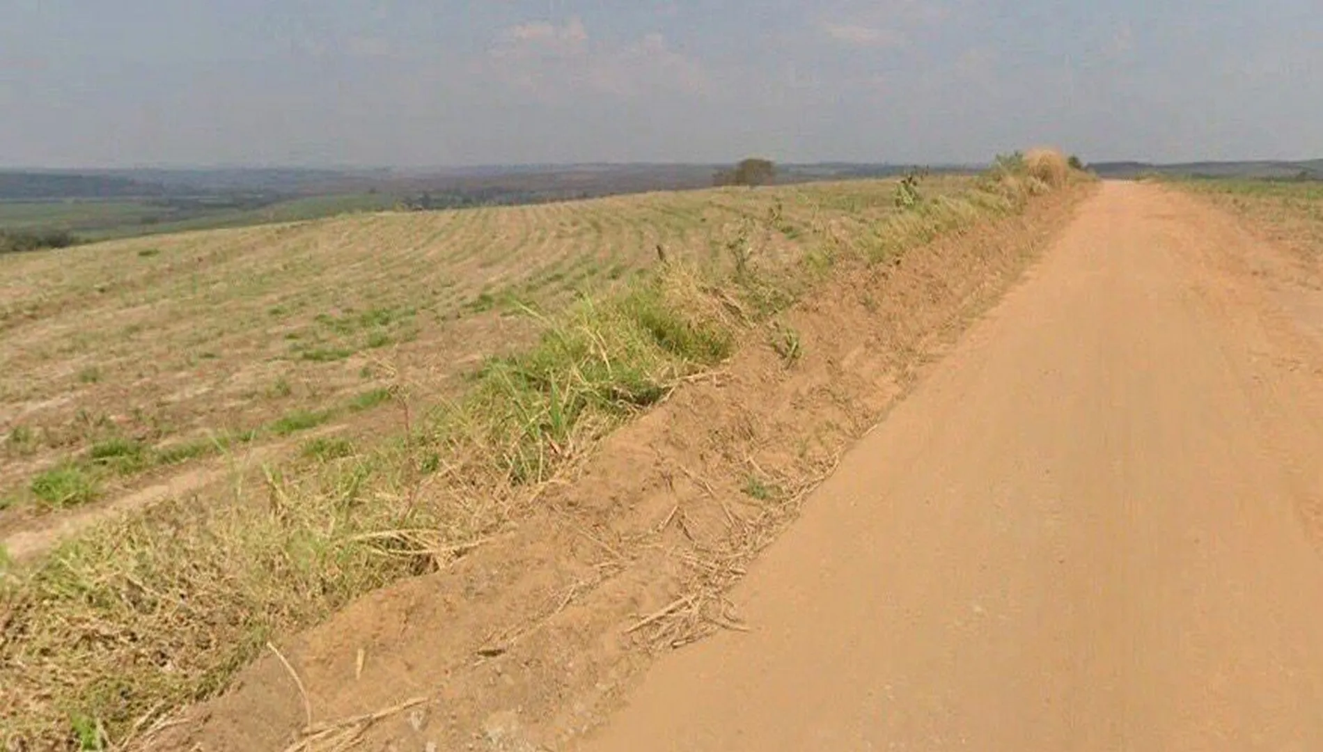 Imagem 3 da Fazenda Cana Porto Feliz