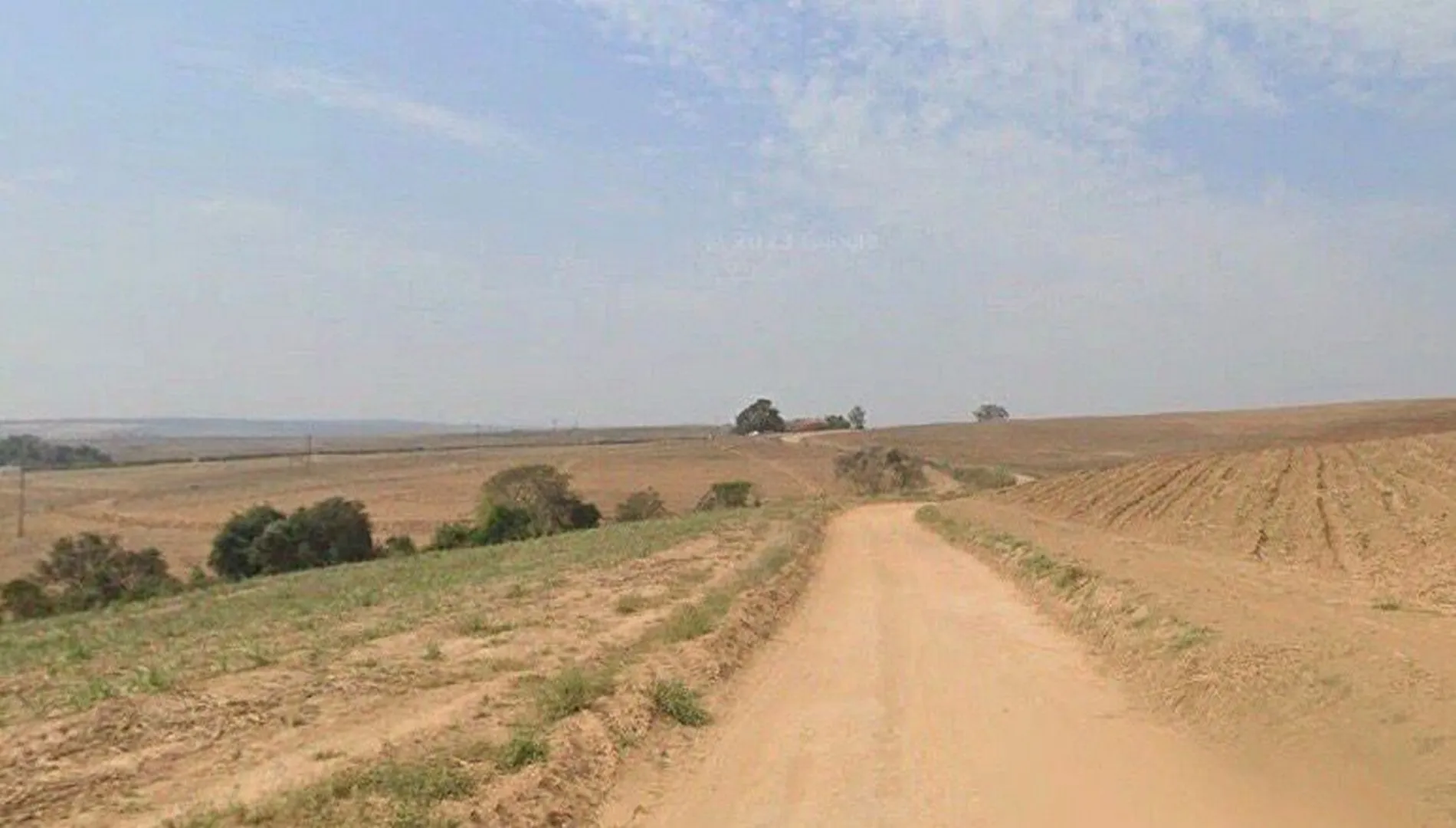 Imagem 4 da Fazenda Cana Porto Feliz