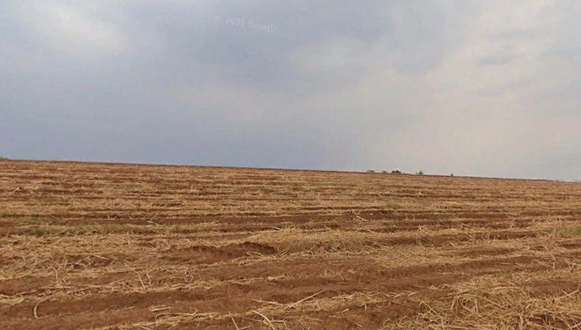 Imagem 5 da Fazenda Cana Porto Feliz