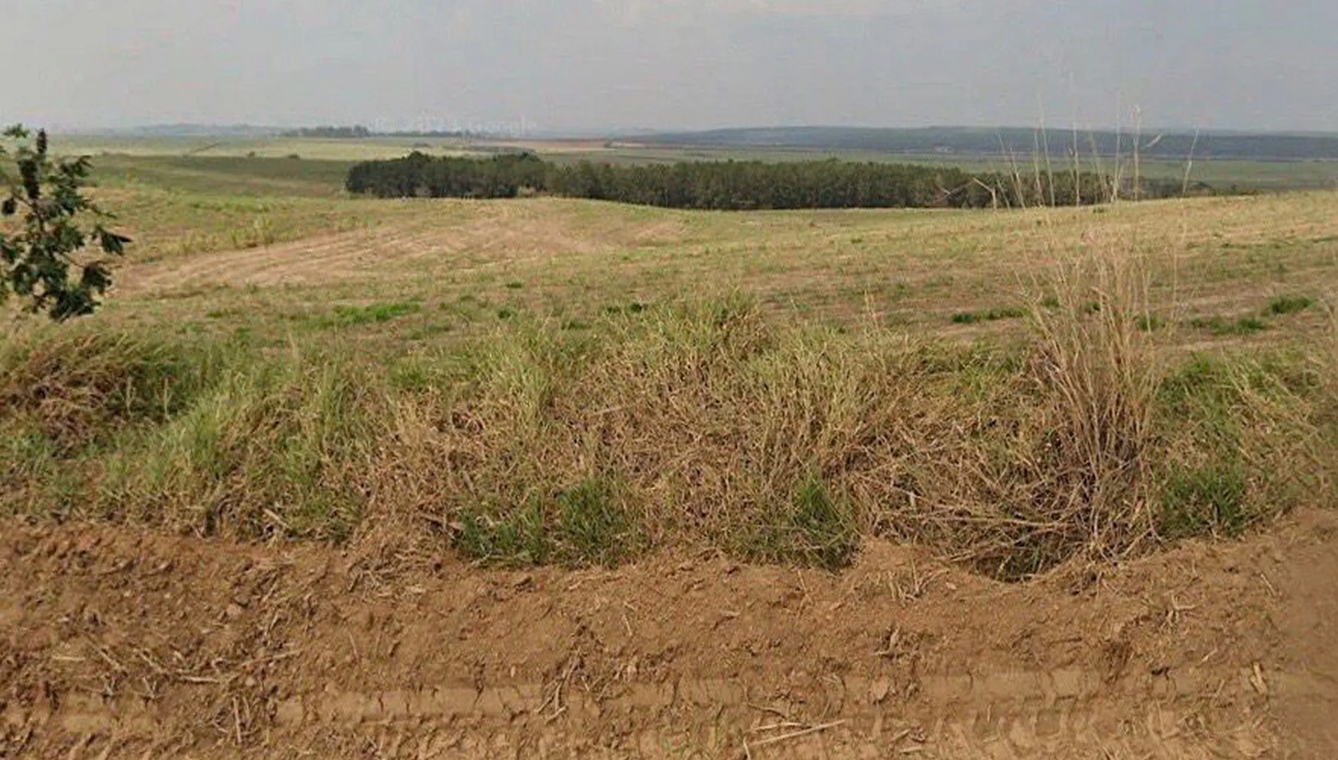 Imagem 6 da Fazenda Cana Porto Feliz