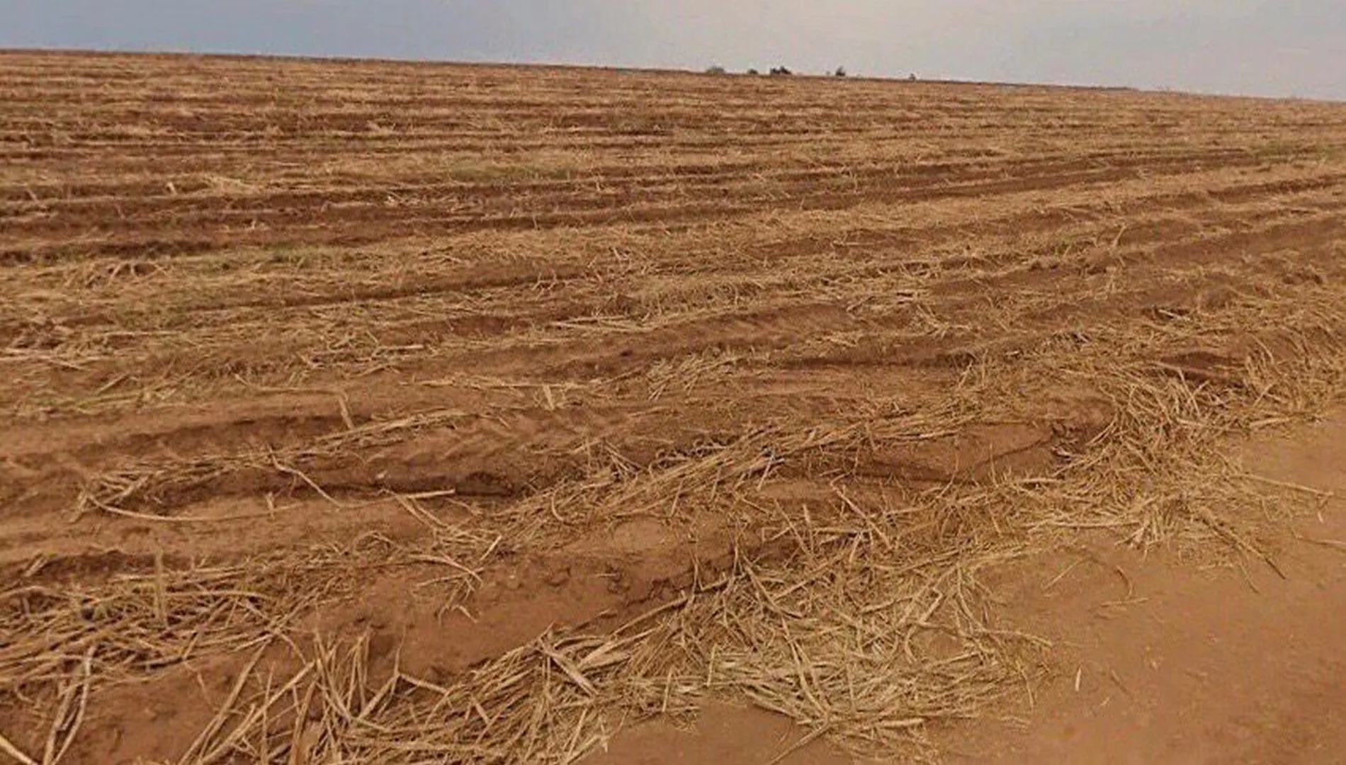 Imagem 7 da Fazenda Cana Porto Feliz