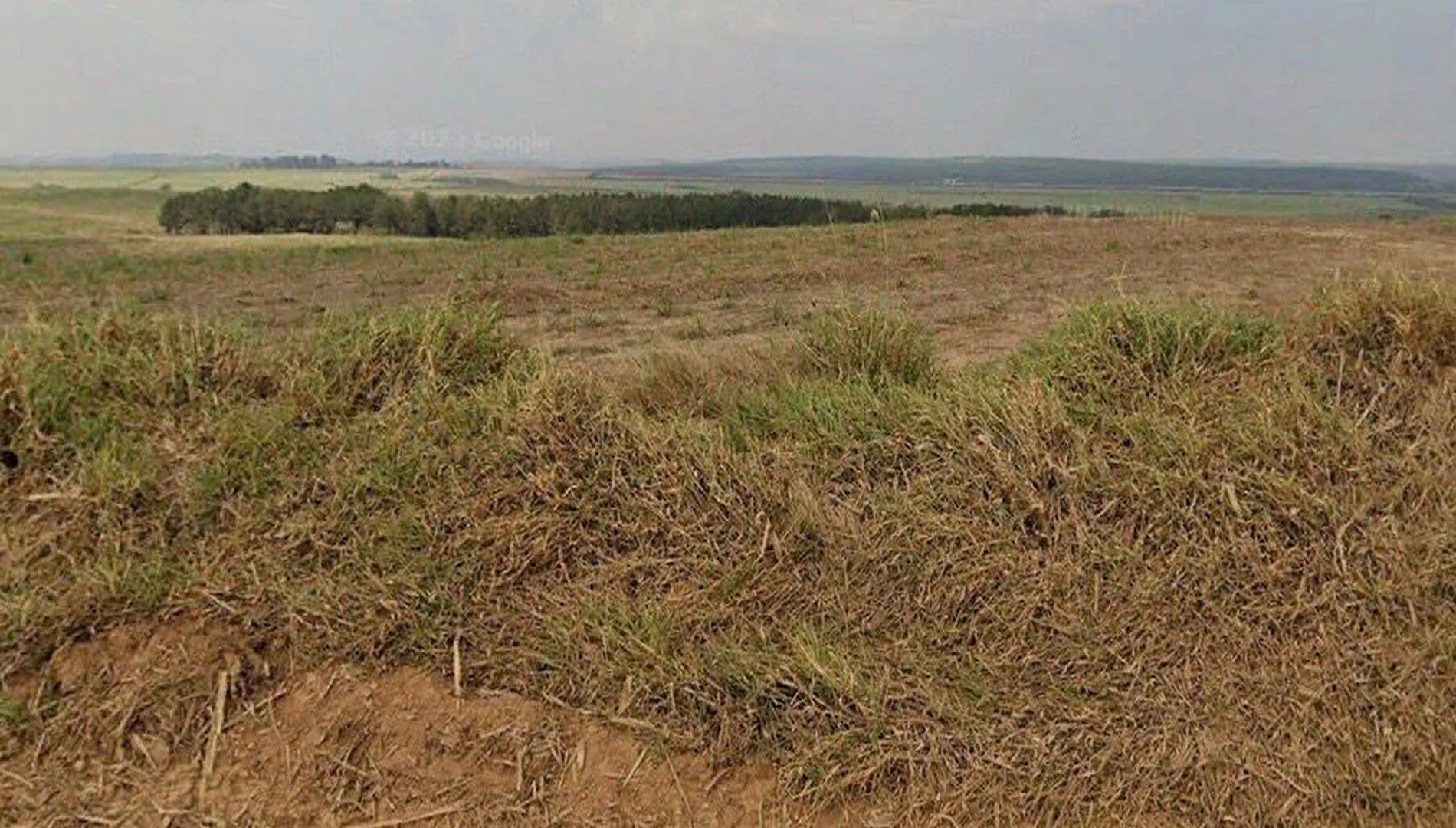 Imagem 8 da Fazenda Cana Porto Feliz