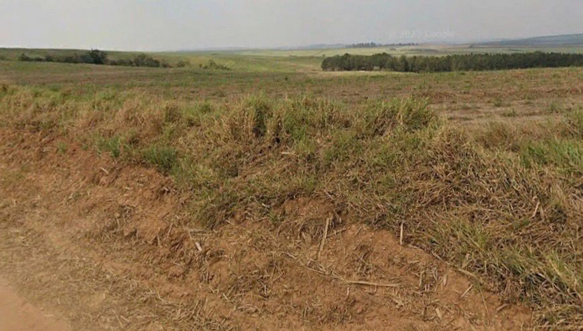 Imagem 9 da Fazenda Cana Porto Feliz