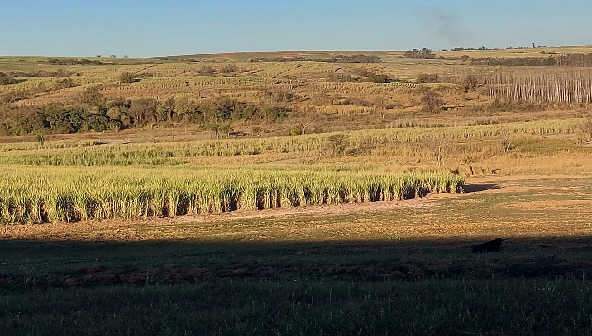Fazenda em Charqueada à venda - Propriedade Rural