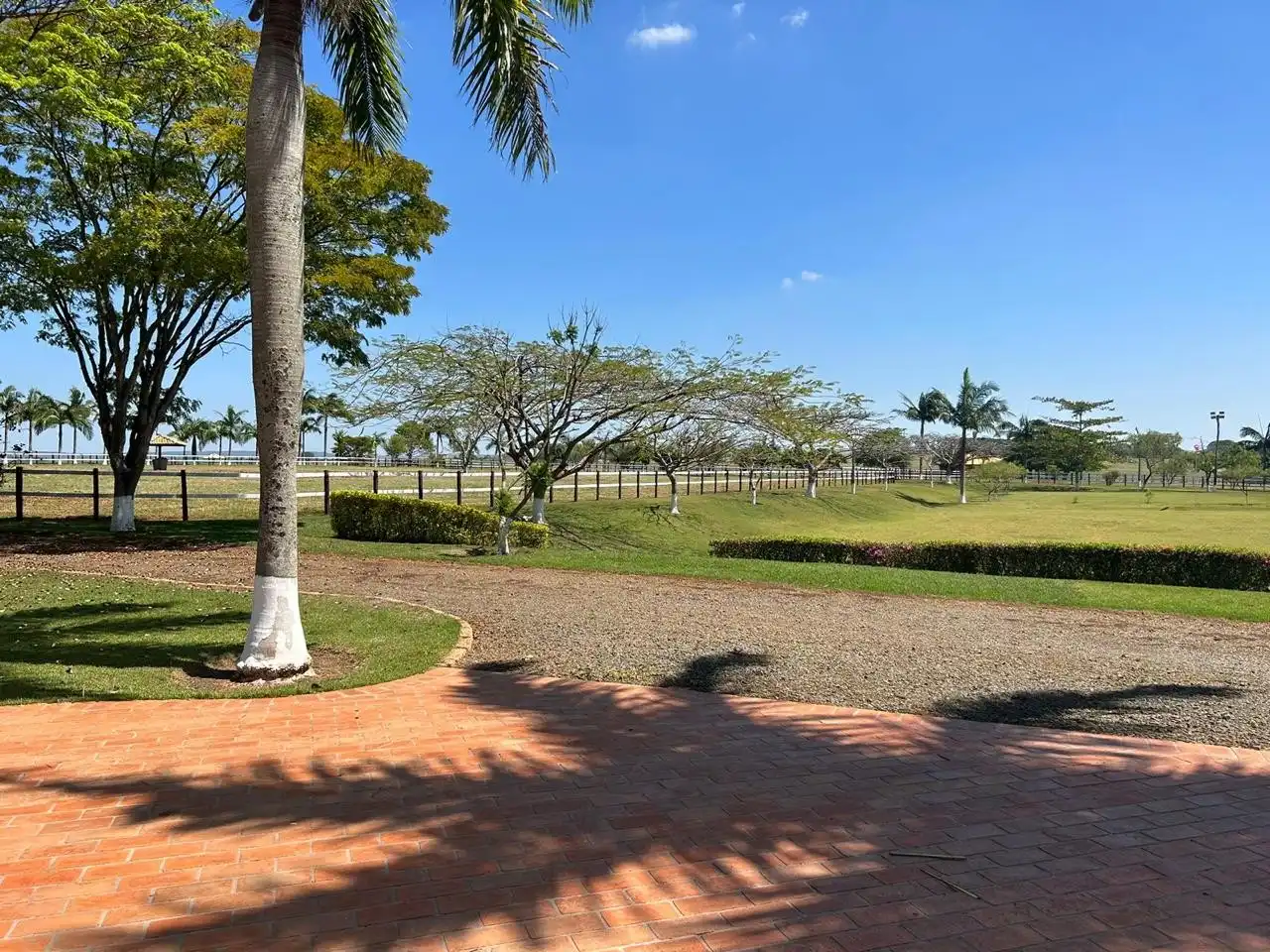 Imagem 4 do Haras Tatuí