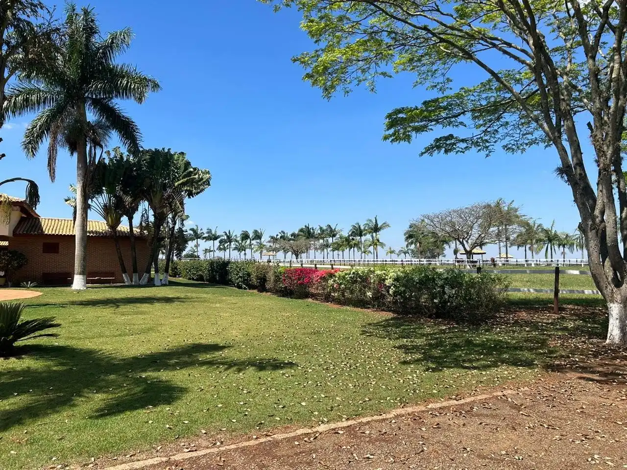 Imagem 5 do Haras Tatuí