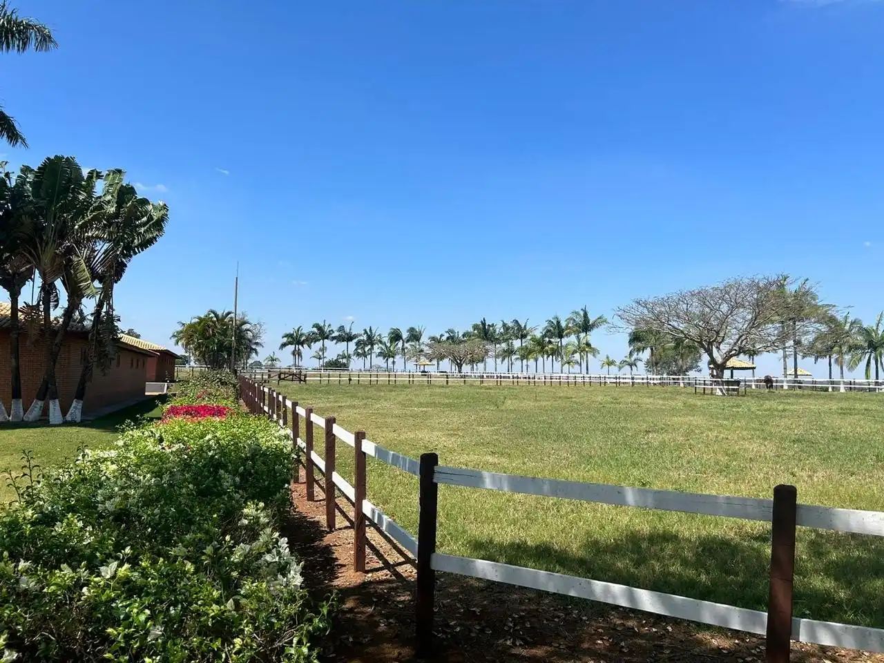 Imagem 6 do Haras Tatuí