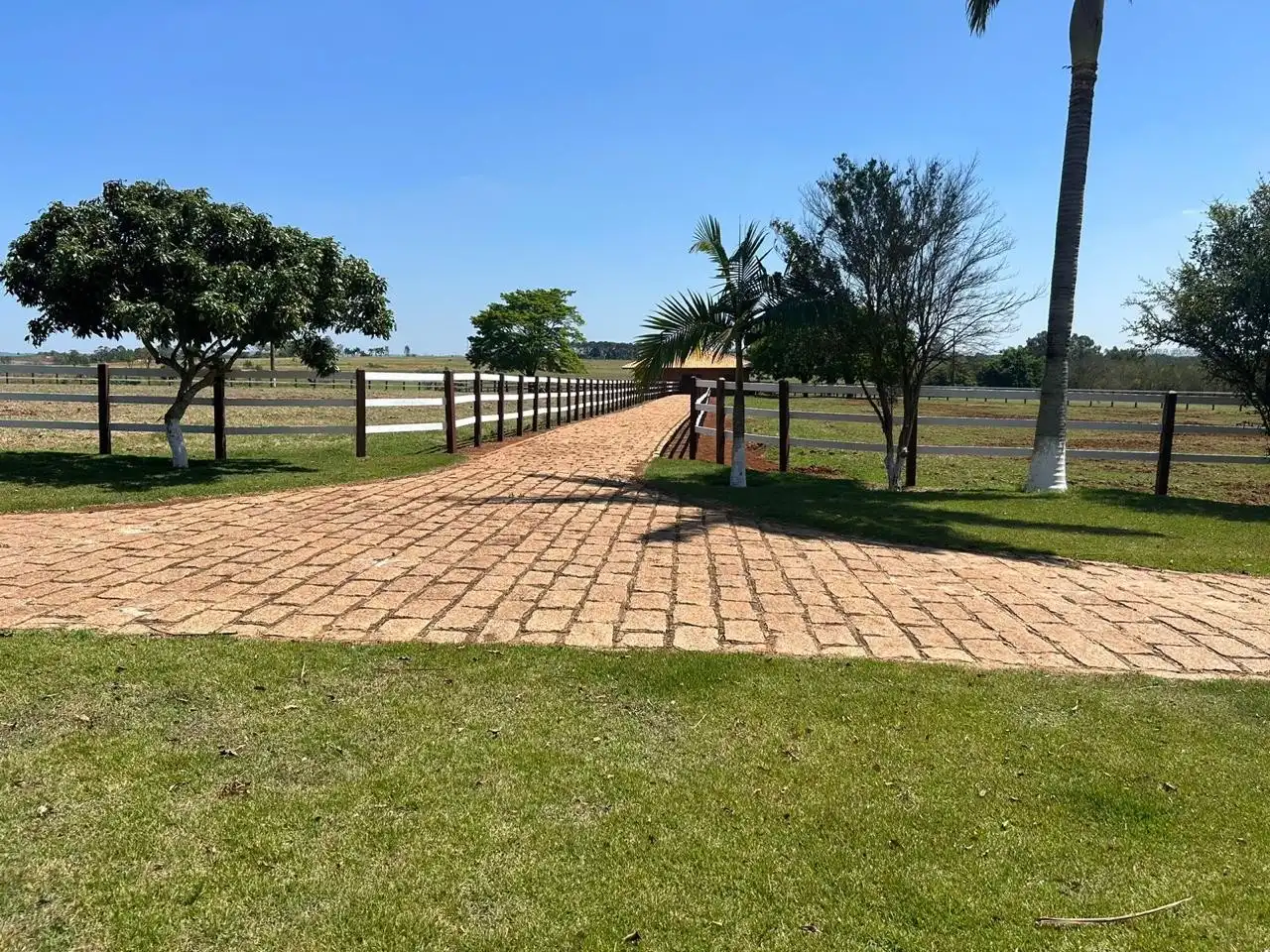 Imagem 9 do Haras Tatuí