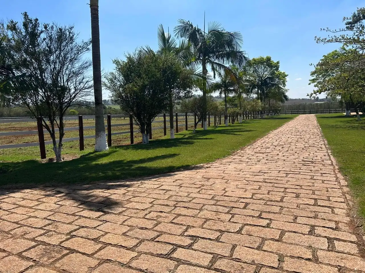 Imagem 11 do Haras Tatuí