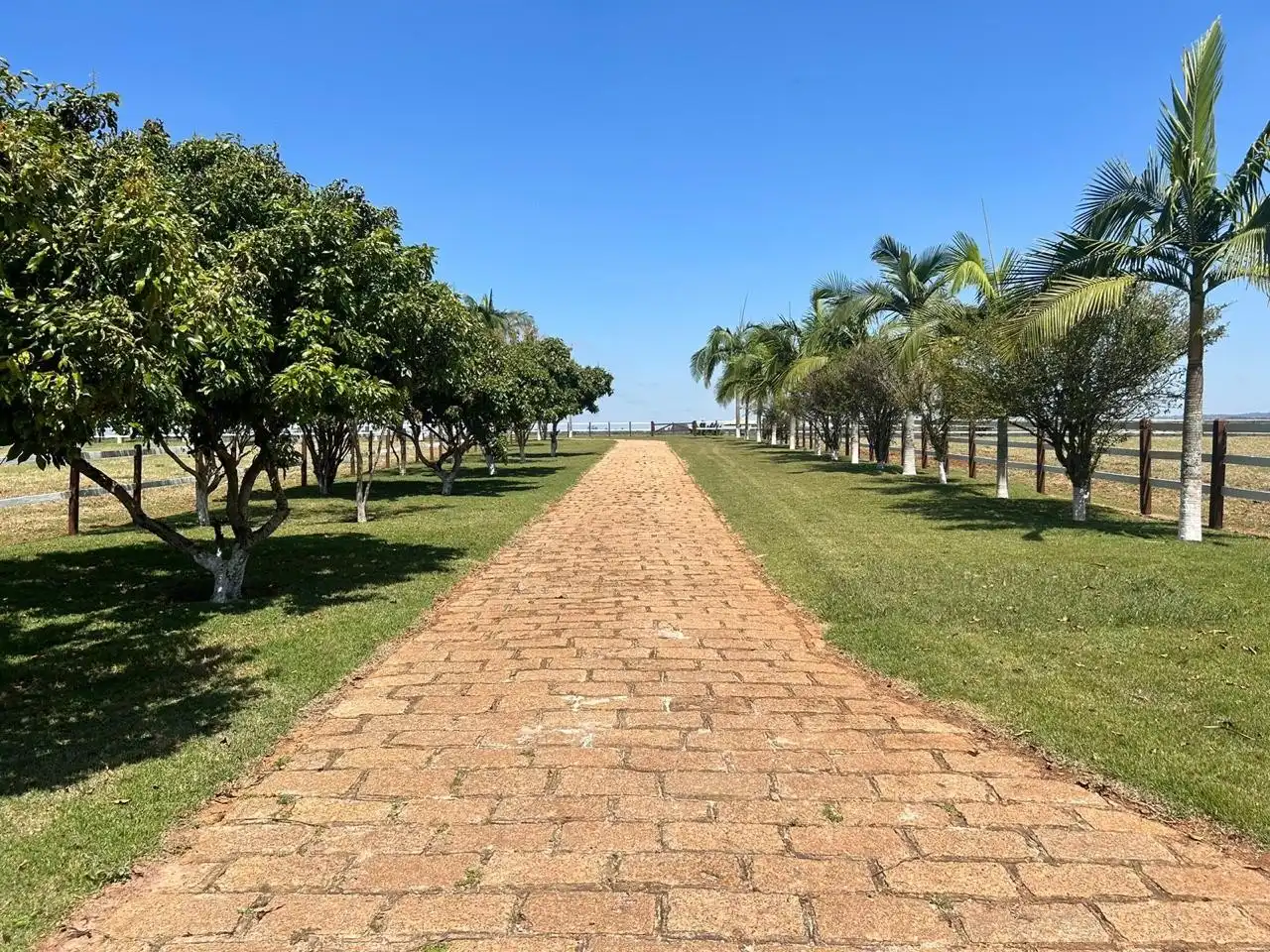 Imagem 12 do Haras Tatuí