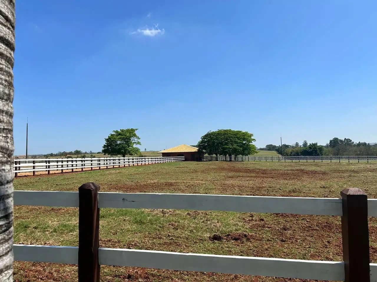 Imagem 13 do Haras Tatuí