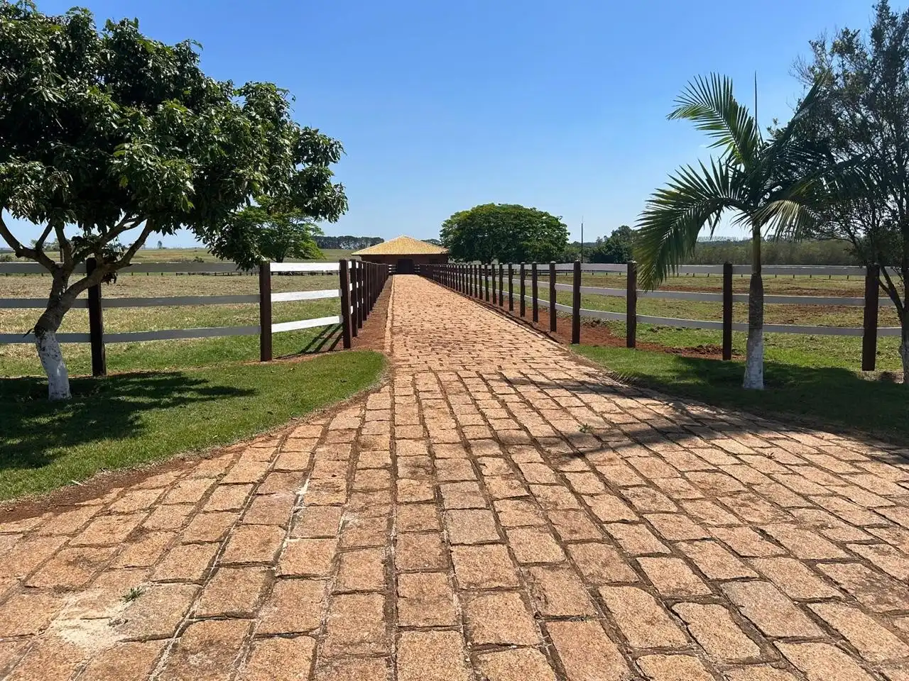 Imagem 14 do Haras Tatuí