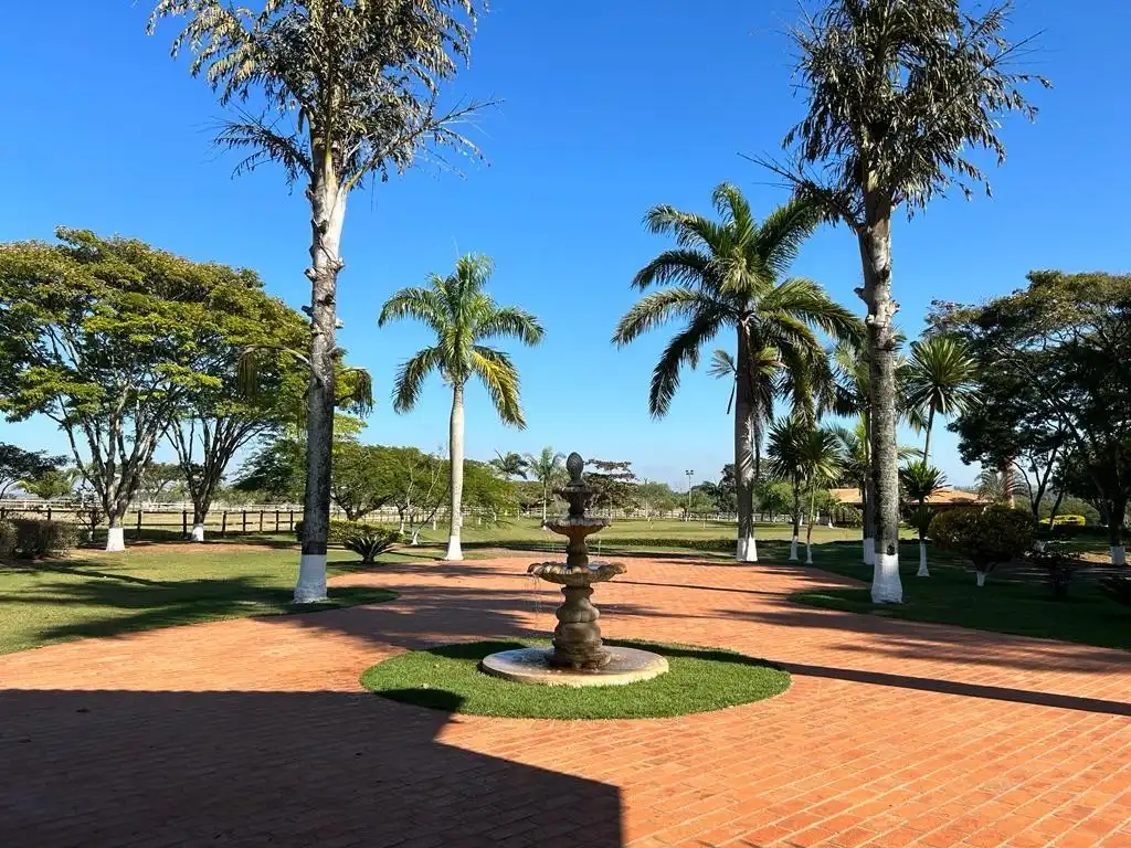 Imagem 17 do Haras Tatuí