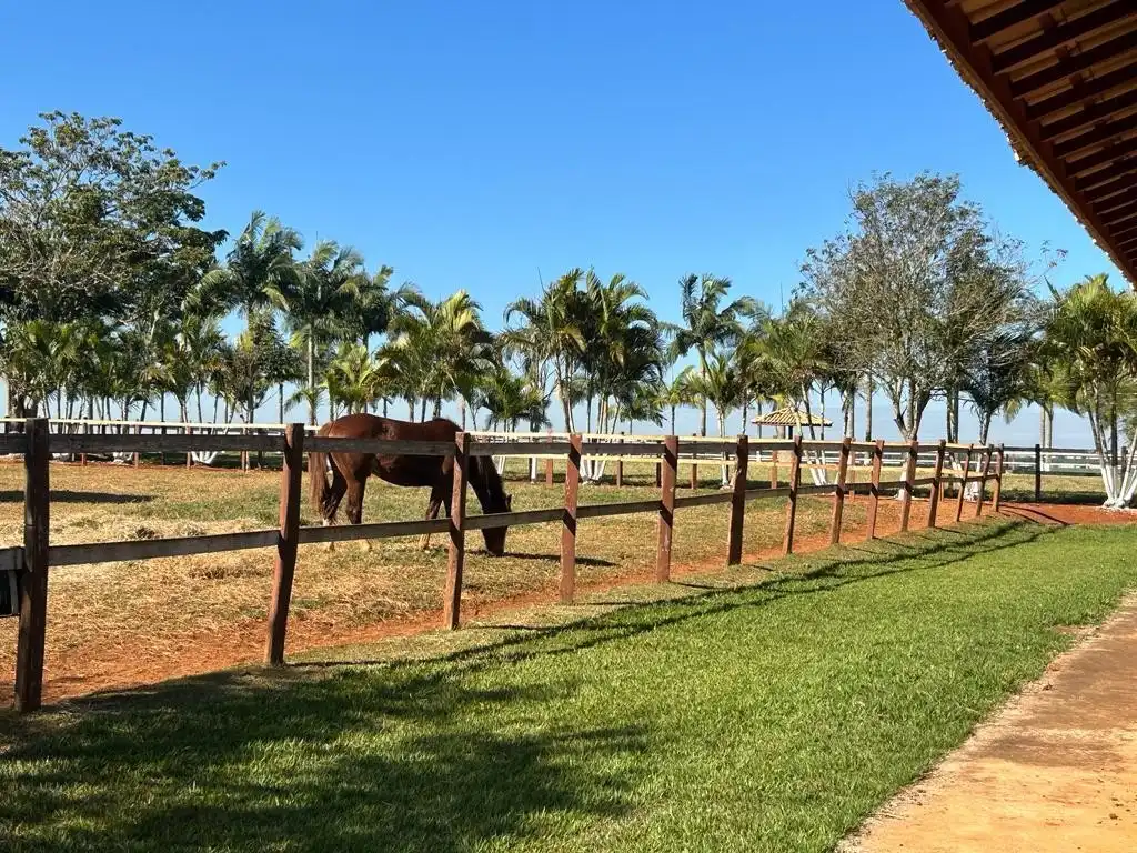 Imagem 32 do Haras Tatuí