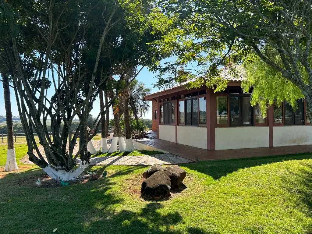 Imagem 41 do Haras Tatuí