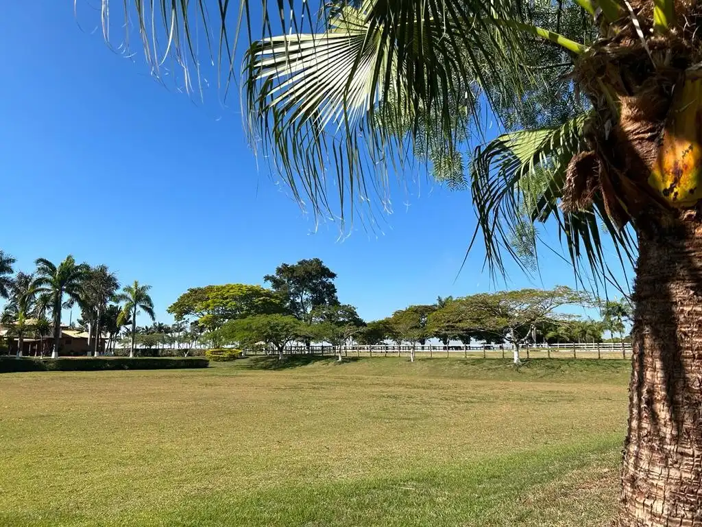 Imagem 44 do Haras Tatuí