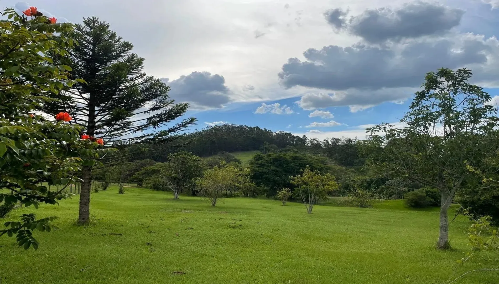 Imagem 23 da Fazenda Pinheirinho em Itu SP