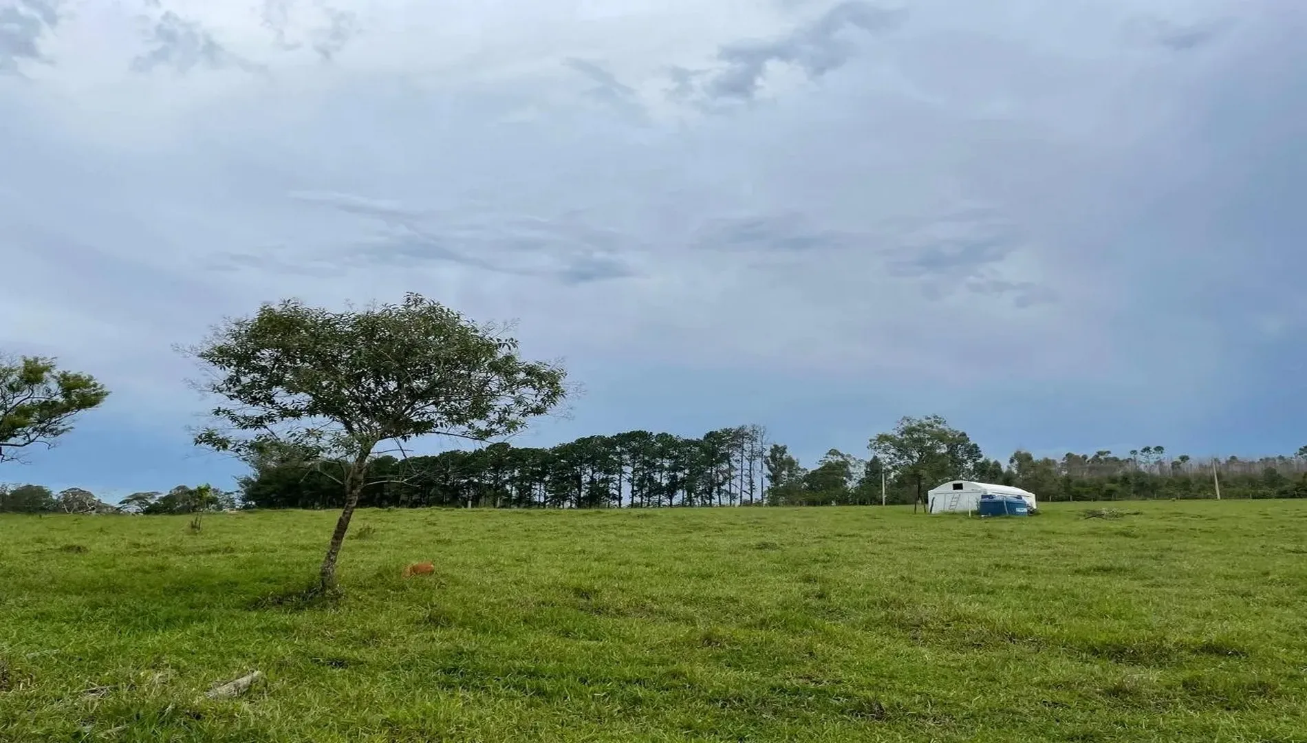 Imagem 24 da Fazenda Pinheirinho em Itu SP