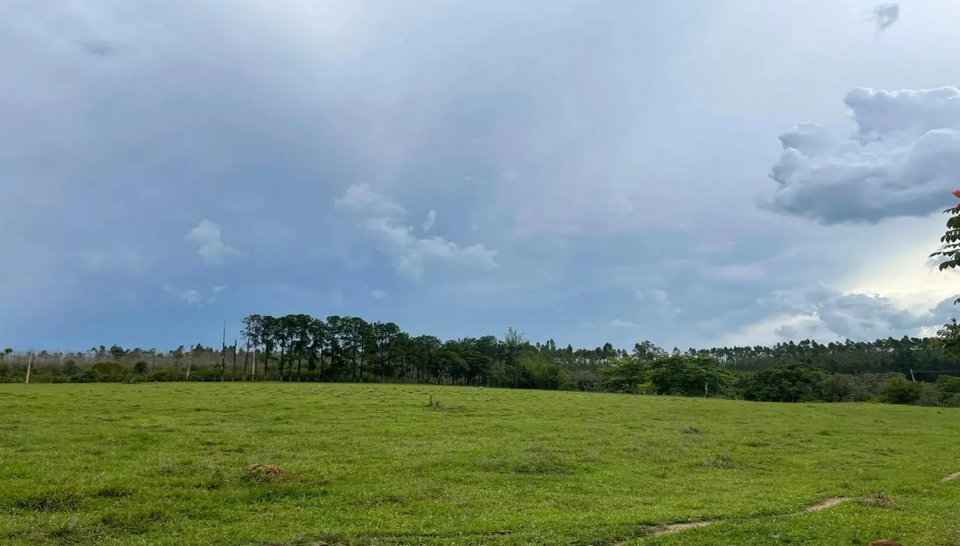 Imagem 27 da Fazenda Pinheirinho em Itu SP