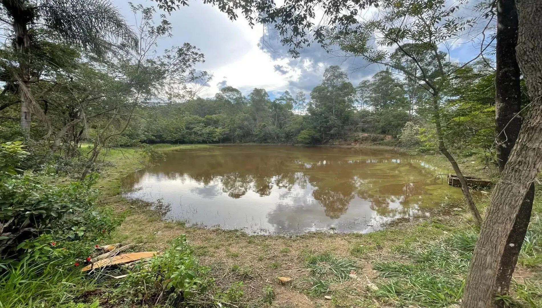 Imagem 41 da Fazenda Pinheirinho em Itu SP