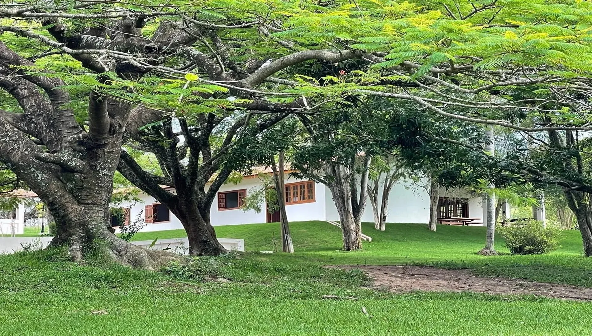 Imagem 46 da Fazenda Pinheirinho em Itu SP