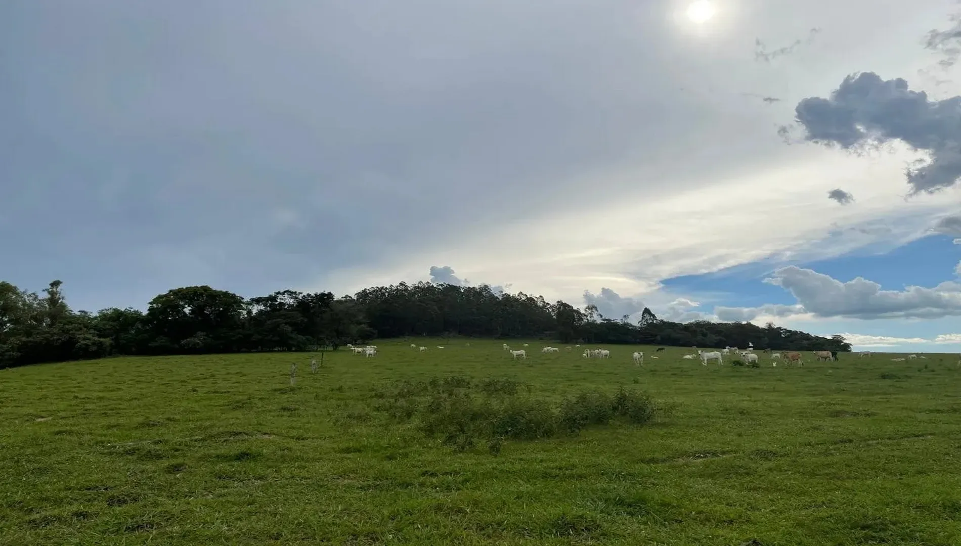 Imagem 56 da Fazenda Pinheirinho em Itu SP